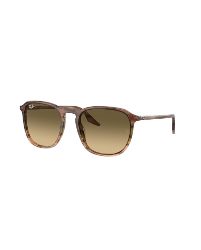 RAY-BAN RB2203