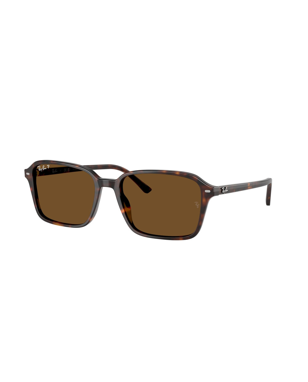 RAY-BAN RB2231 RAIMOND