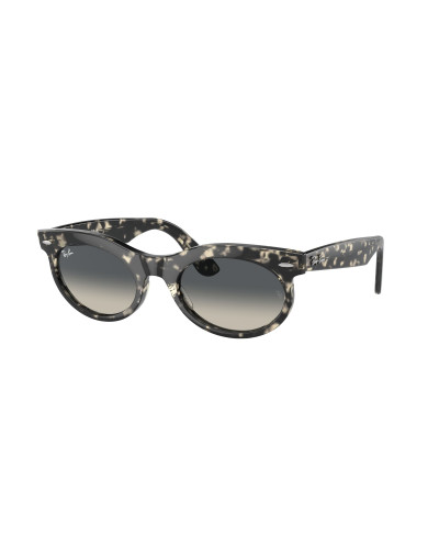 RAY-BAN RB2242 WAYFARER OVAL