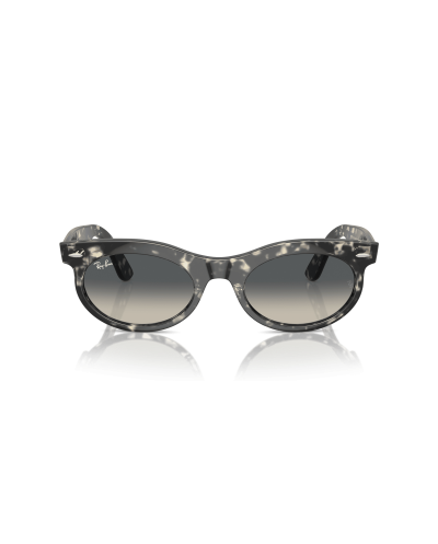 RAY-BAN RB2242 WAYFARER OVAL