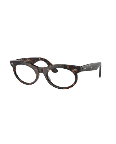 RAY-BAN RB2242 WAYFARER OVAL