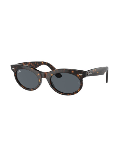 RAY-BAN RB2242 WAYFARER OVAL