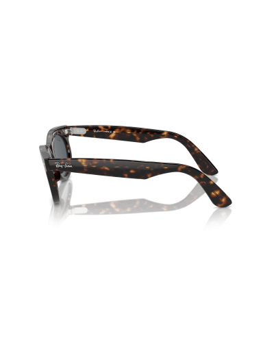 RAY-BAN RB2242 WAYFARER OVAL