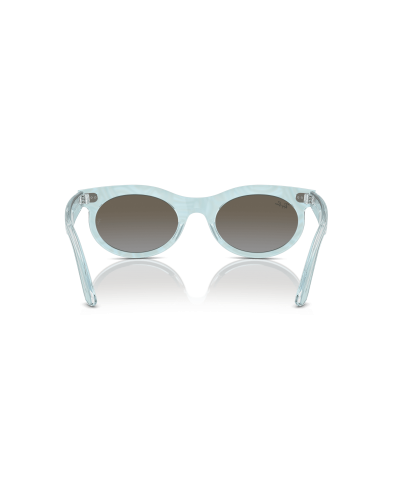 RAY-BAN RB2242 WAYFARER OVAL