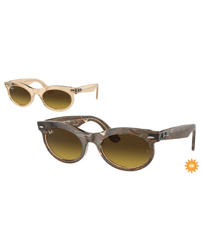 RAY-BAN RB2242 WAYFARER OVAL