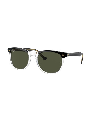 RAY-BAN RB2398 EAGLEEYE