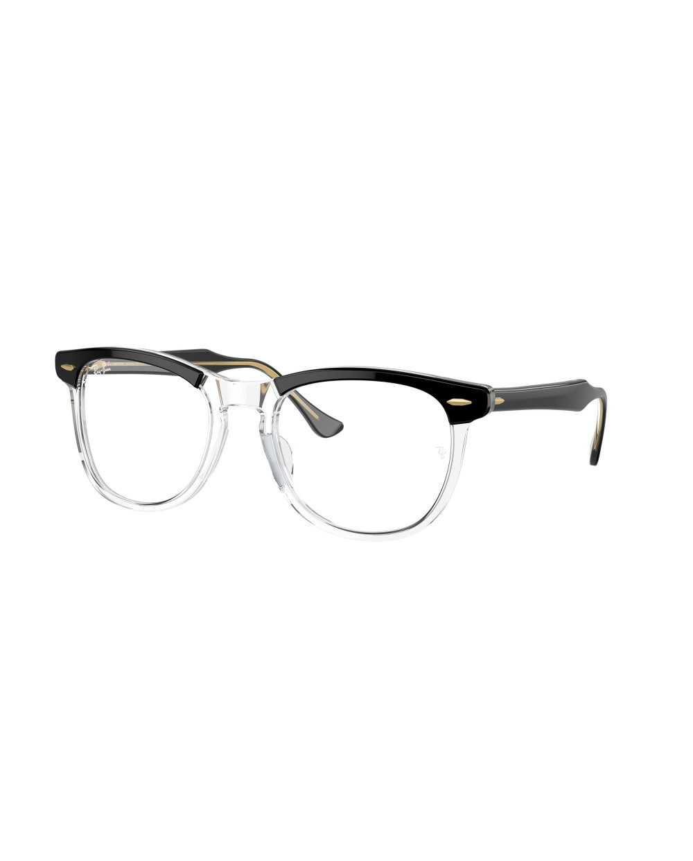 RAY-BAN RB2398 EAGLEEYE