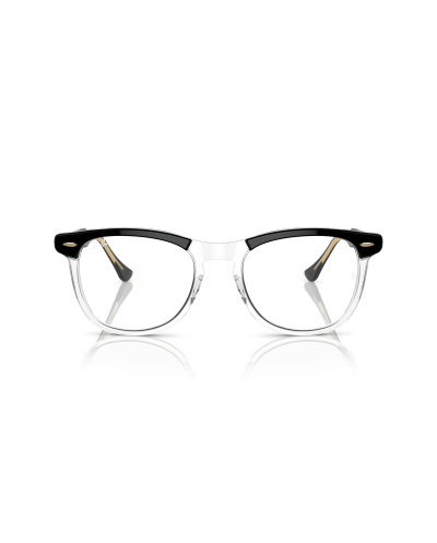 RAY-BAN RB2398 EAGLEEYE