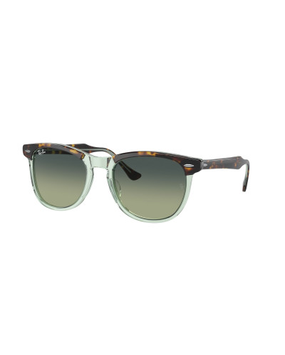 RAY-BAN RB2398 EAGLEEYE