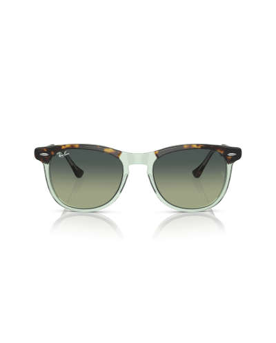 RAY-BAN RB2398 EAGLEEYE