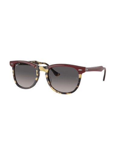 RAY-BAN RB2398 EAGLEEYE