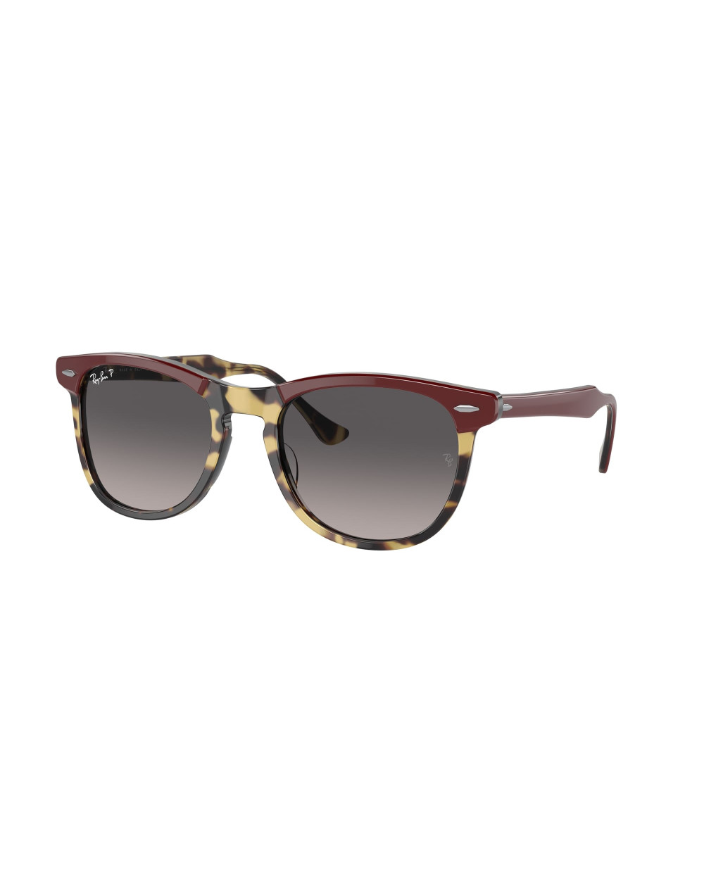 RAY-BAN RB2398 EAGLEEYE