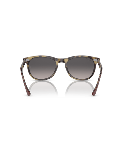 RAY-BAN RB2398 EAGLEEYE