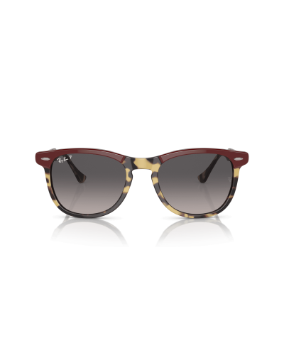 RAY-BAN RB2398 EAGLEEYE