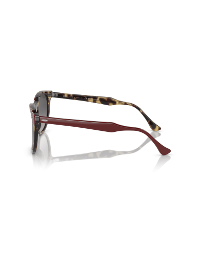 RAY-BAN RB2398 EAGLEEYE