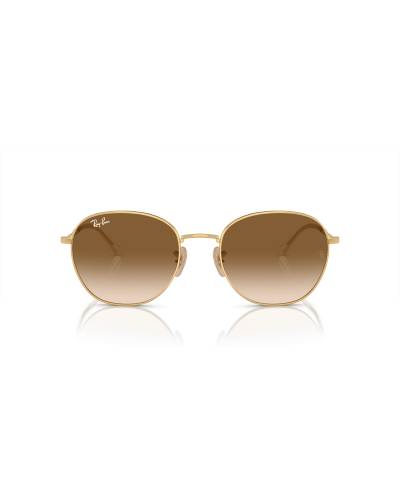 RAY-BAN RB3809
