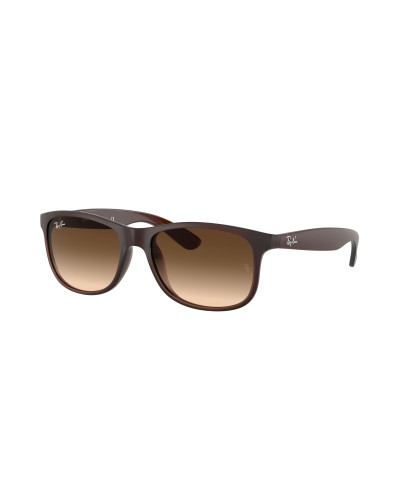 RAY-BAN RB4202 ANDY