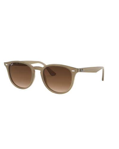 RAY-BAN RB4259