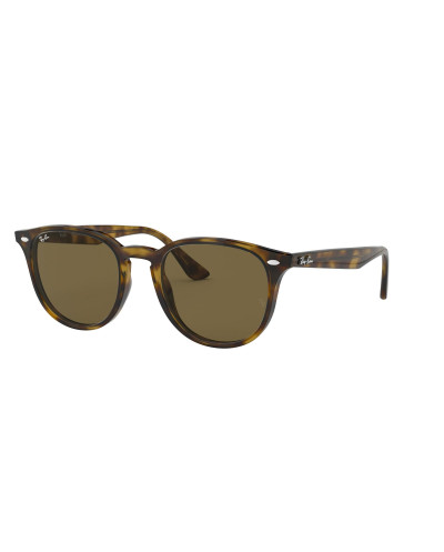 RAY-BAN RB4259
