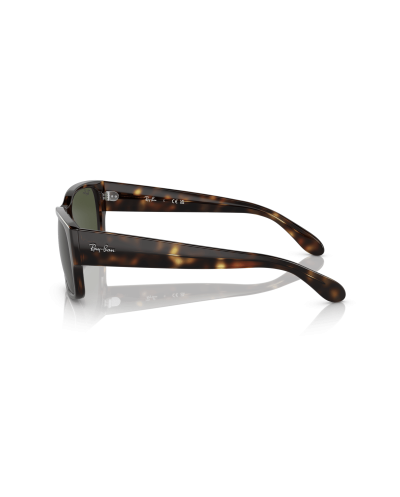 RAY-BAN RB4388