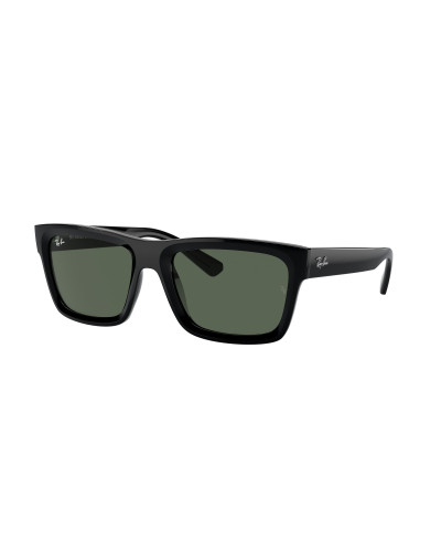 RAY-BAN RB4396 WARREN