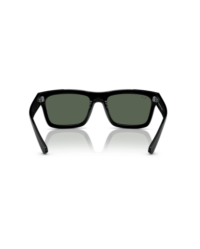 RAY-BAN RB4396 WARREN