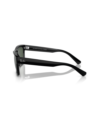 RAY-BAN RB4396 WARREN