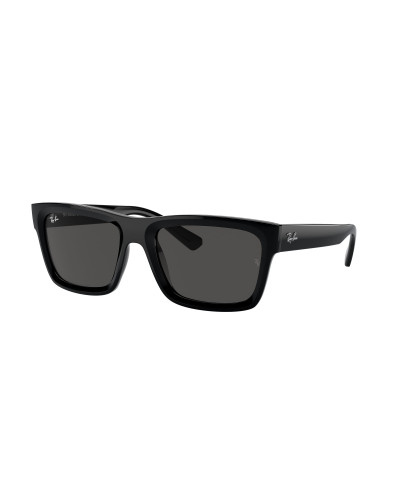 RAY-BAN RB4396 WARREN