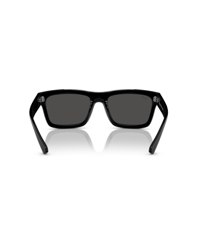 RAY-BAN RB4396 WARREN