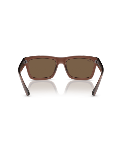 RAY-BAN RB4396 WARREN