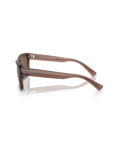 RAY-BAN RB4396 WARREN