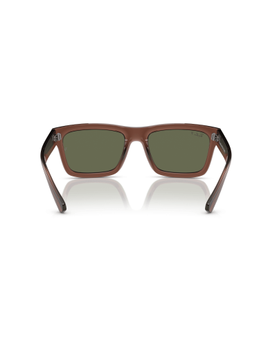 RAY-BAN RB4396 WARREN