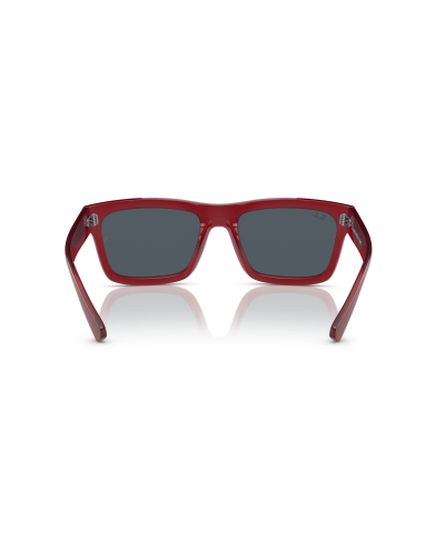 RAY-BAN RB4396 WARREN