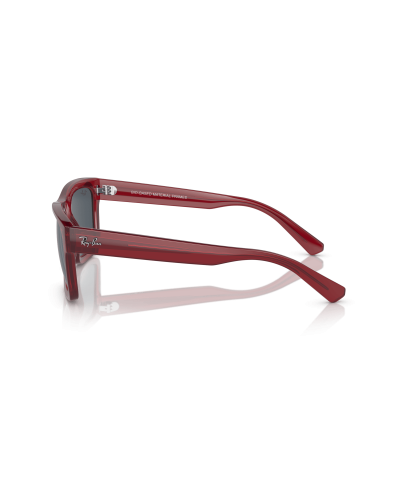 RAY-BAN RB4396 WARREN