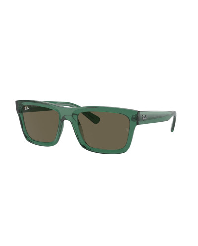 RAY-BAN RB4396 WARREN