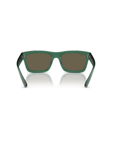 RAY-BAN RB4396 WARREN