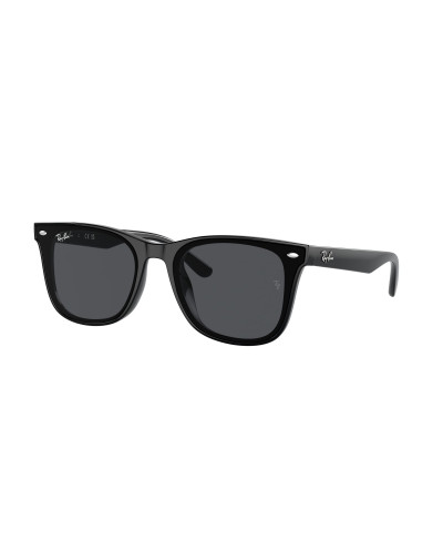 RAY-BAN RB4420