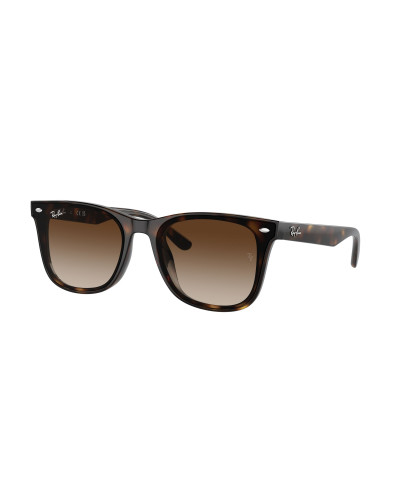 RAY-BAN RB4420
