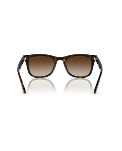RAY-BAN RB4420