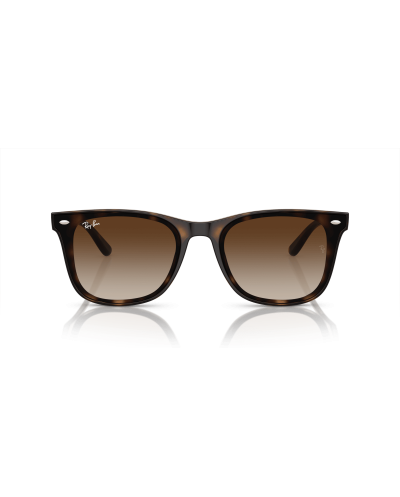 RAY-BAN RB4420