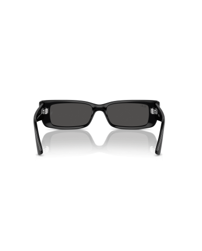 RAY-BAN RB4425 TERU