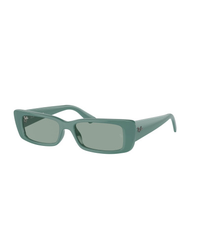 RAY-BAN RB4425 TERU