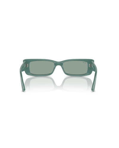 RAY-BAN RB4425 TERU