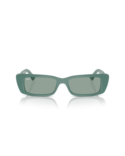 RAY-BAN RB4425 TERU