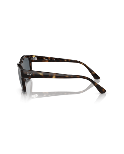 RAY-BAN RB4428
