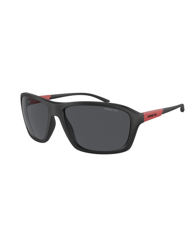 ARNETTE AN4329