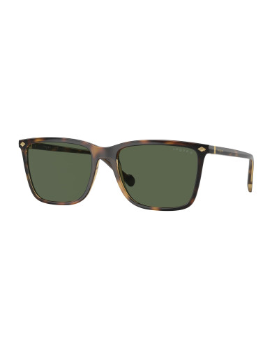 VOGUE VO5493S