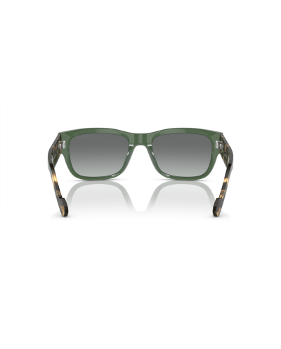 VOGUE VO5530S